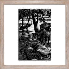 Cows by the River - Unsigned - Ready Framed